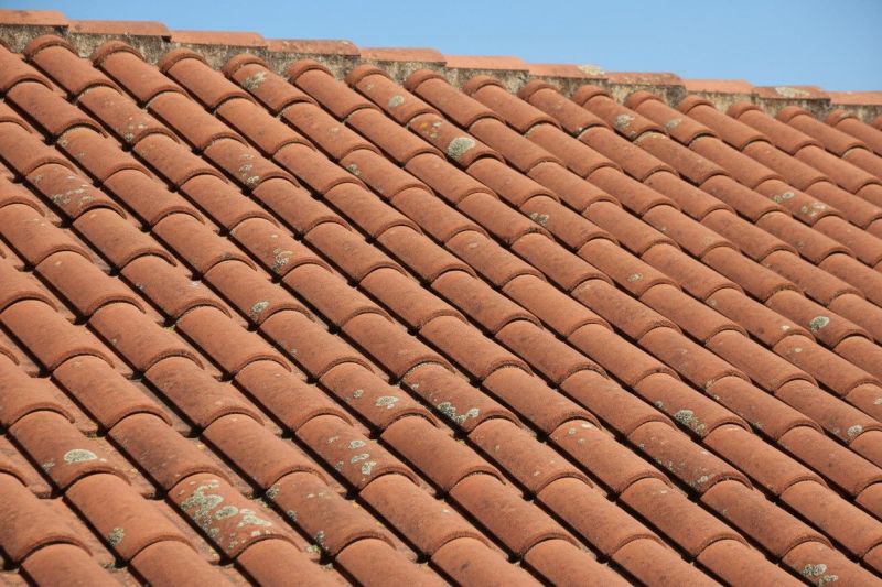 Clay Vs. Concrete Tile Roof Replacement: Key Differences
